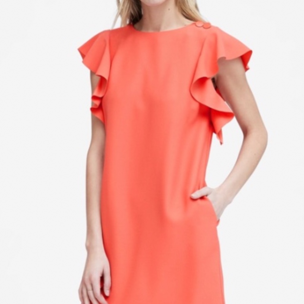 Banana Republic Flutter Sleeve Shift Dress. Nwot